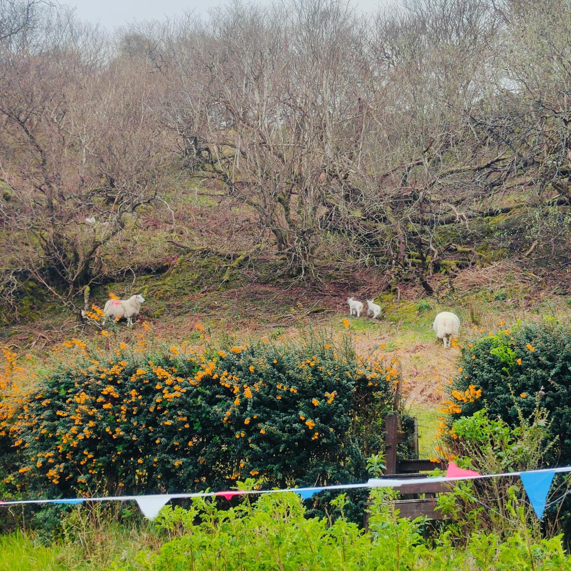 Kintyre Caravan Portree Bagian luar foto